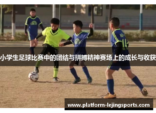 小学生足球比赛中的团结与拼搏精神赛场上的成长与收获