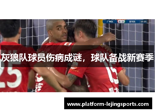 灰狼队球员伤病成谜，球队备战新赛季