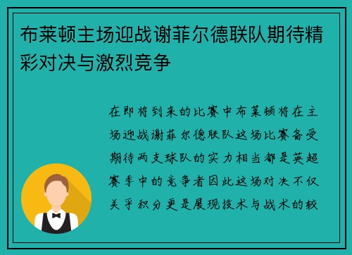 布莱顿主场迎战谢菲尔德联队期待精彩对决与激烈竞争