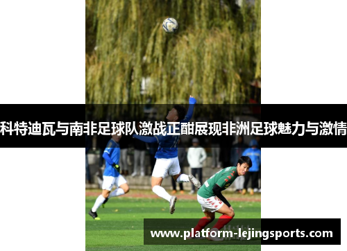 科特迪瓦与南非足球队激战正酣展现非洲足球魅力与激情