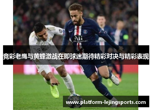 竞彩老鹰与黄蜂激战在即球迷期待精彩对决与精彩表现